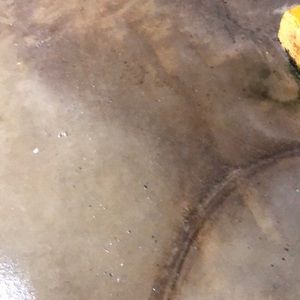 Meet your Posher, Gabriel